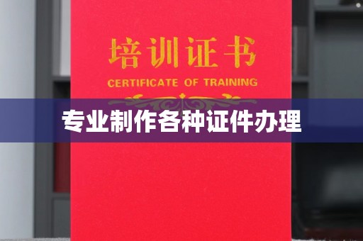 桑珠孜专业制作各种证件办理